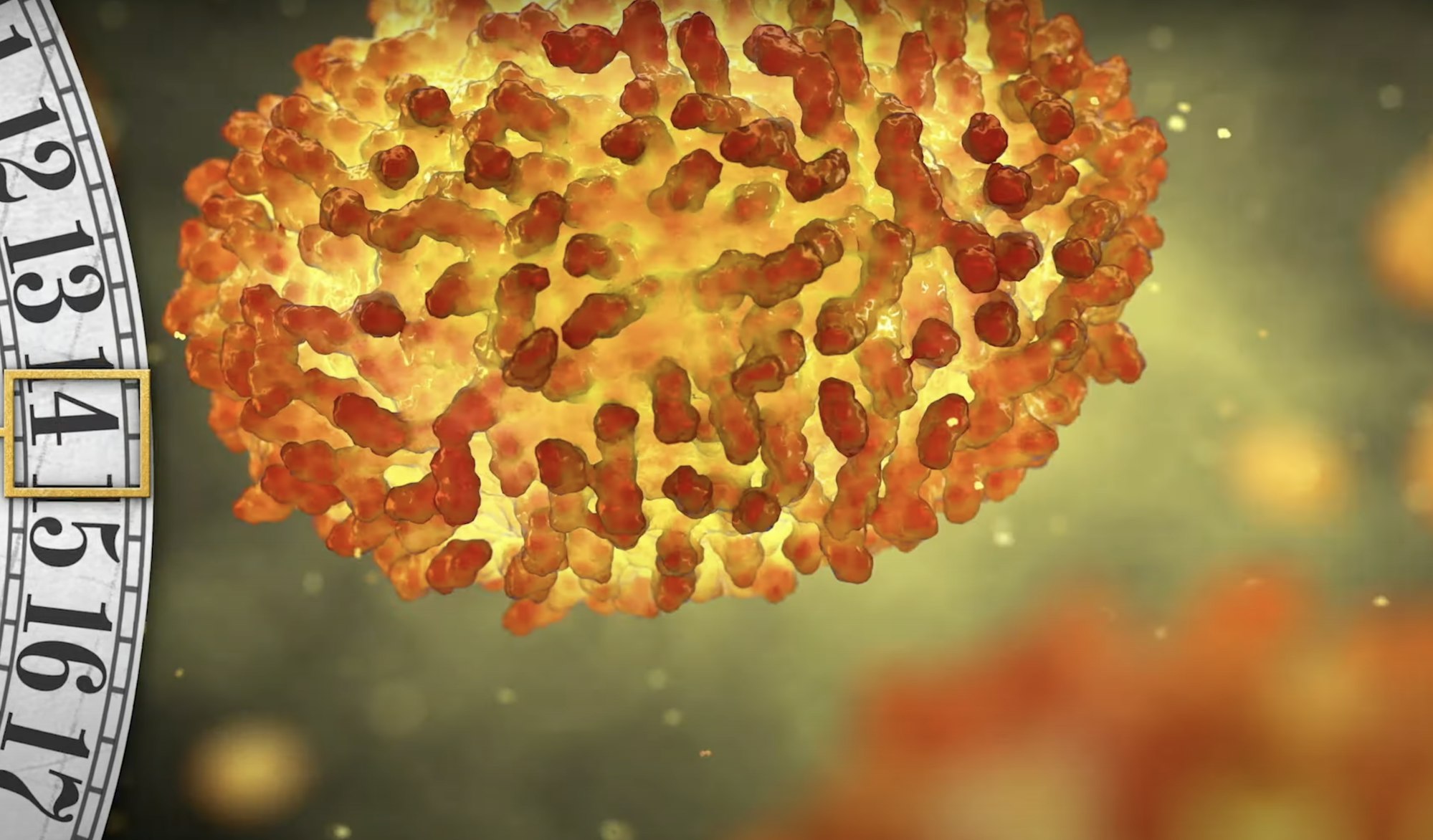 screen from a history minute video showing an animation of a smallpox virus