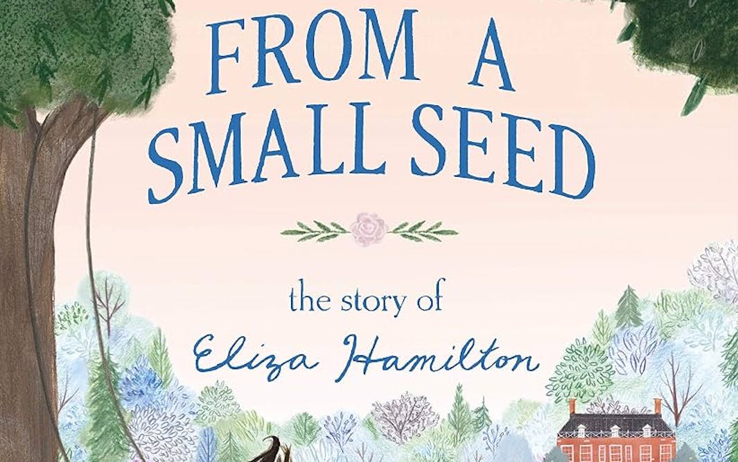 LN-Ys From a Small Seed book cover