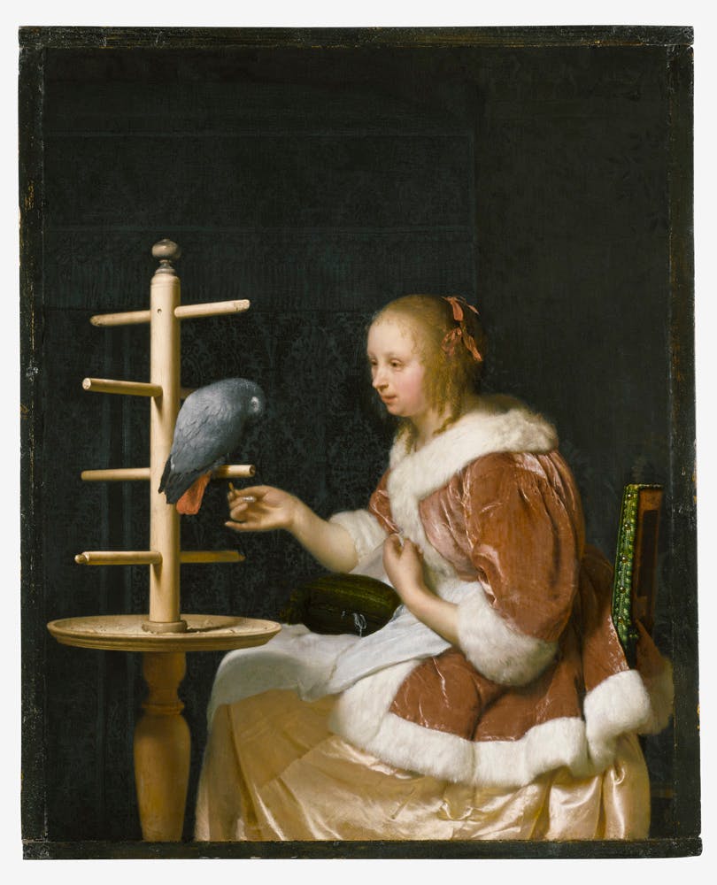 Frans van Mieris (1635-1681), Young Woman Feeding a Parrot, 1663. Oil on panel. Image courtesy of the Leiden Collection, New York