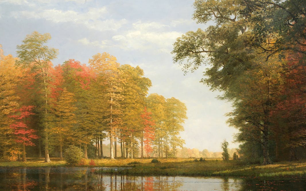 Albert Bierstadt's oil on canvas work Autumn Woods, Oneida County, State of New York, ca. 1886 , depicting stands of trees along a waterway