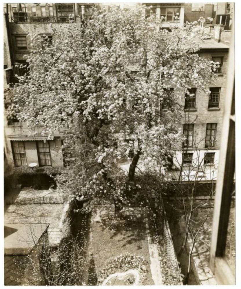 NewYork Historical Society