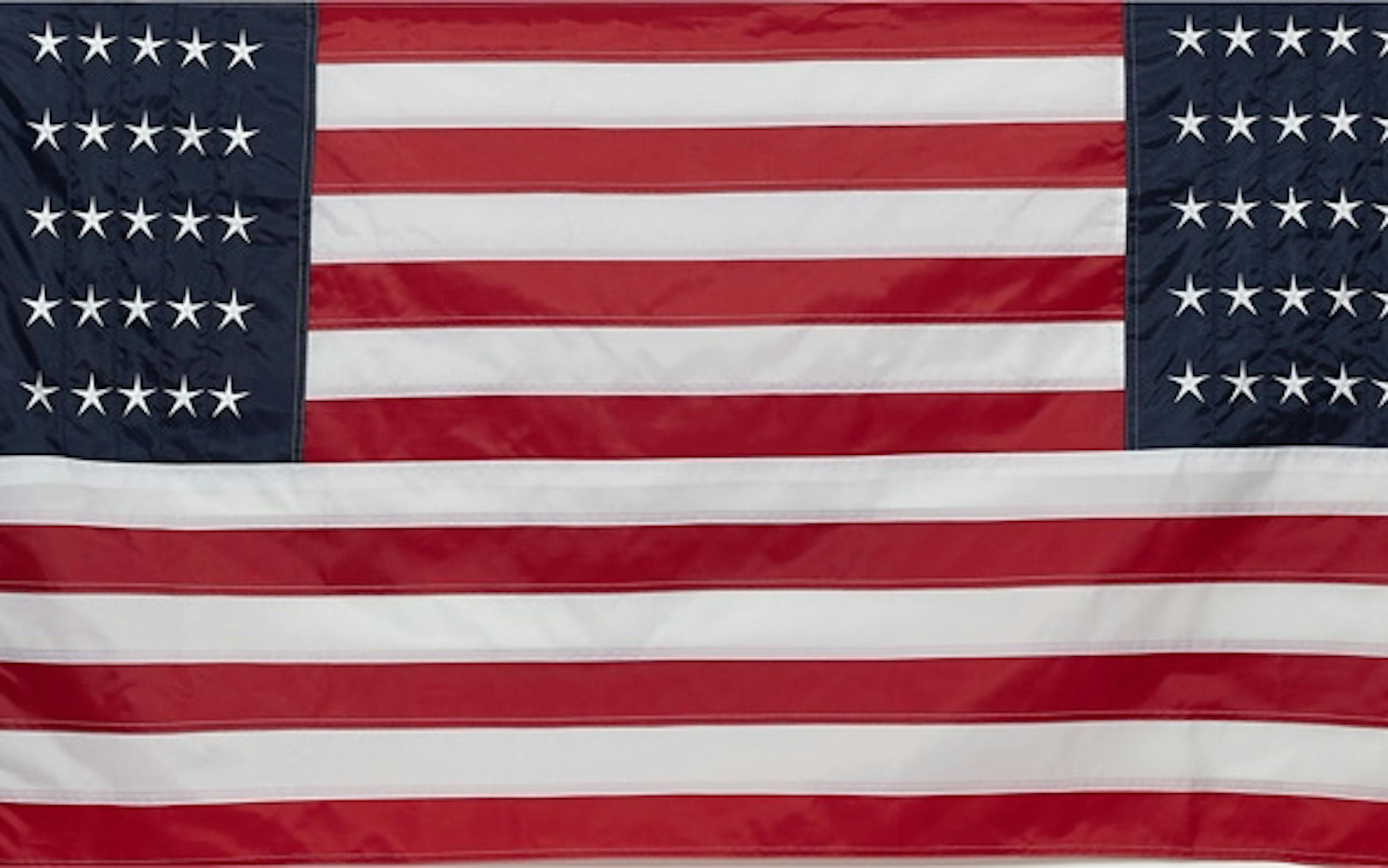 Mel Chin (b. 1951), Flag of America, 2020. Polyester, metal. Collection of John Monsky.