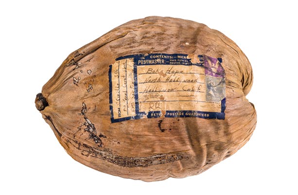 Coconut, 1944. Courtesy of the National Naval Aviation Museum
